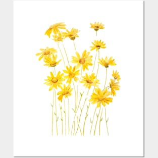 yellow daisies watercolour Posters and Art